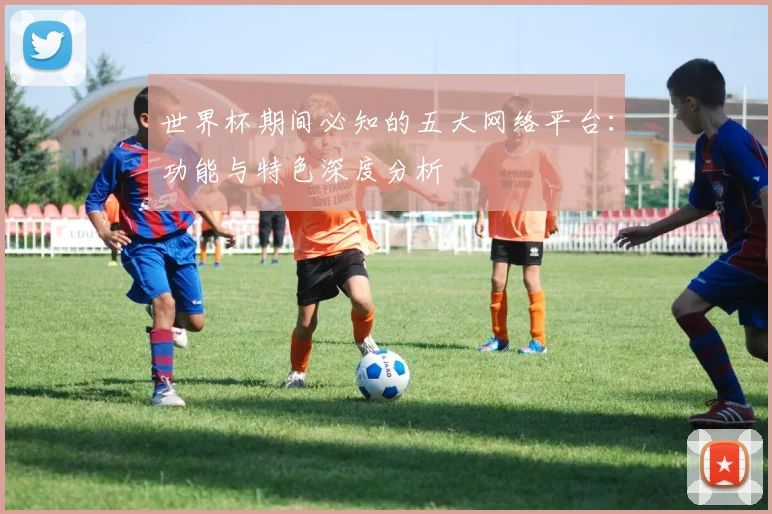 世界杯期间必知的五大网络平台:功能与特色深度分析