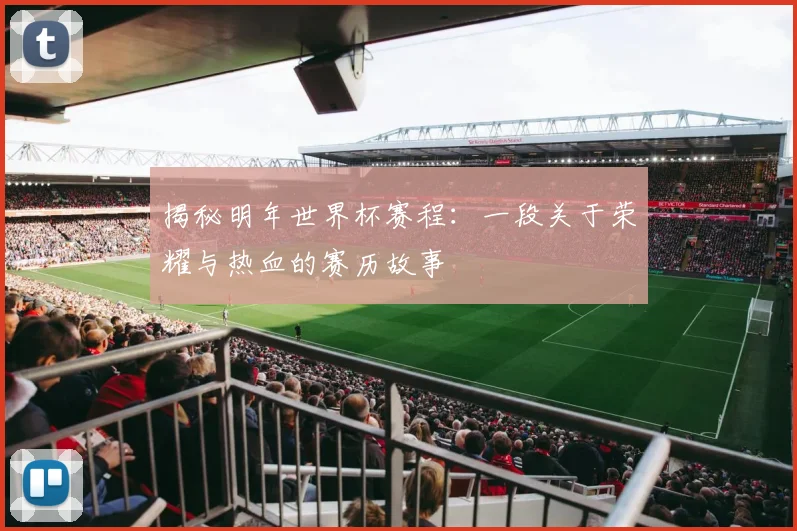 揭秘明年世界杯赛程：一段关于荣耀与热血的赛历故事