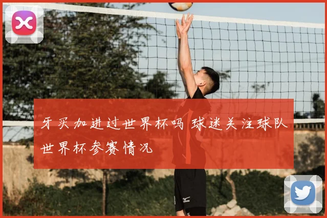 牙买加进过世界杯吗 球迷关注球队世界杯参赛情况