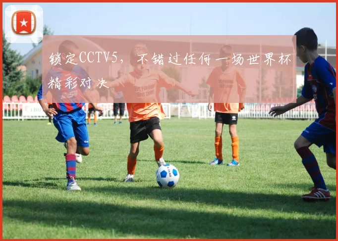 锁定CCTV5，不错过任何一场世界杯精彩对决