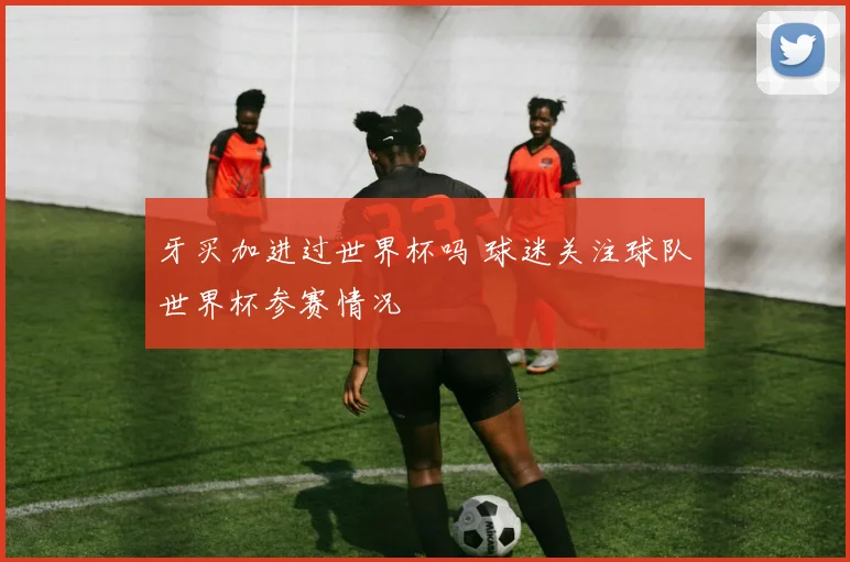 牙买加进过世界杯吗 球迷关注球队世界杯参赛情况