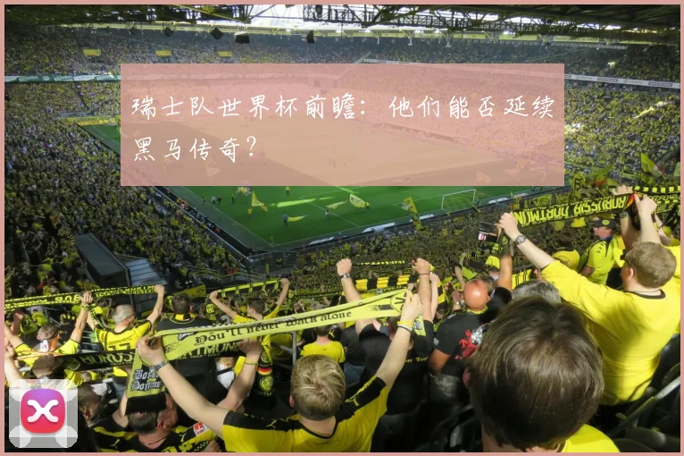 瑞士队世界杯前瞻:他们能否延续黑马传奇?