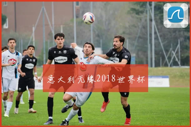 意大利无缘2018世界杯
