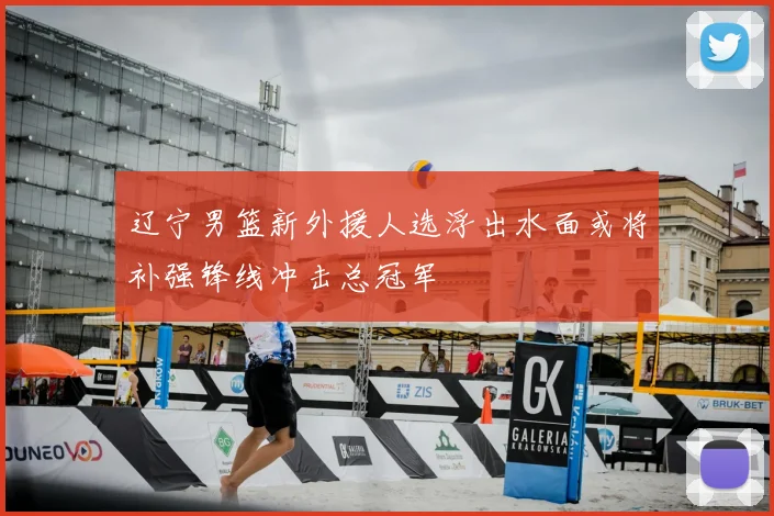 辽宁男篮新外援人选浮出水面或将补强锋线冲击总冠军
